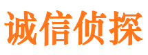 扎囊市侦探调查公司